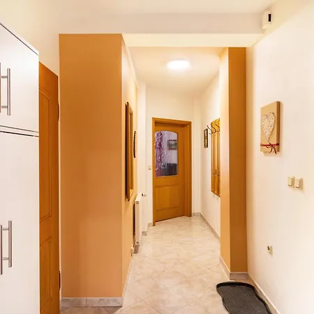 Zum Weissen Ross Apartmán *