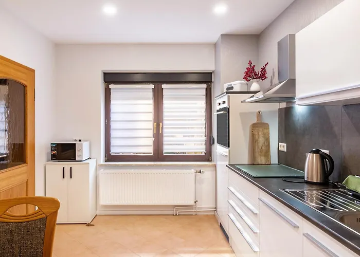 Zum Weissen Ross Appartement